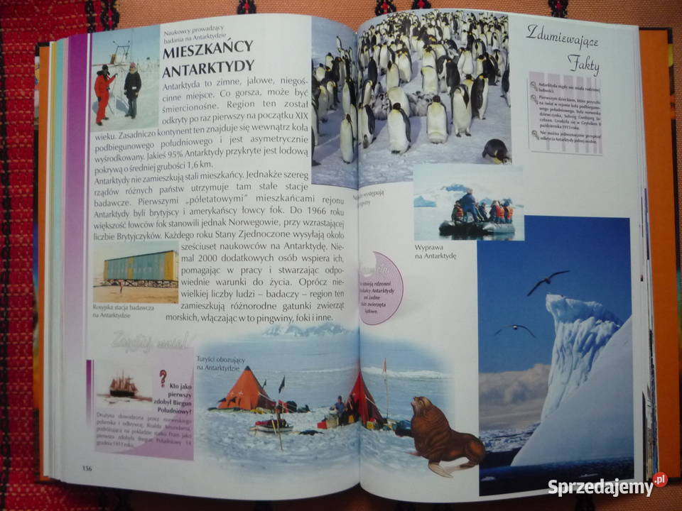 NOWA Encyklopedia Poznajemy świat Encyklopedie, słowniki i atlasy Kultura i Rozrywka Szczecin sprzedam