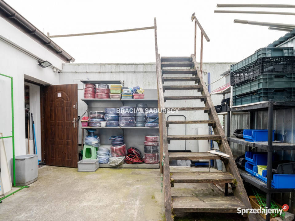 Lokal Nowe Brzesko 260m2