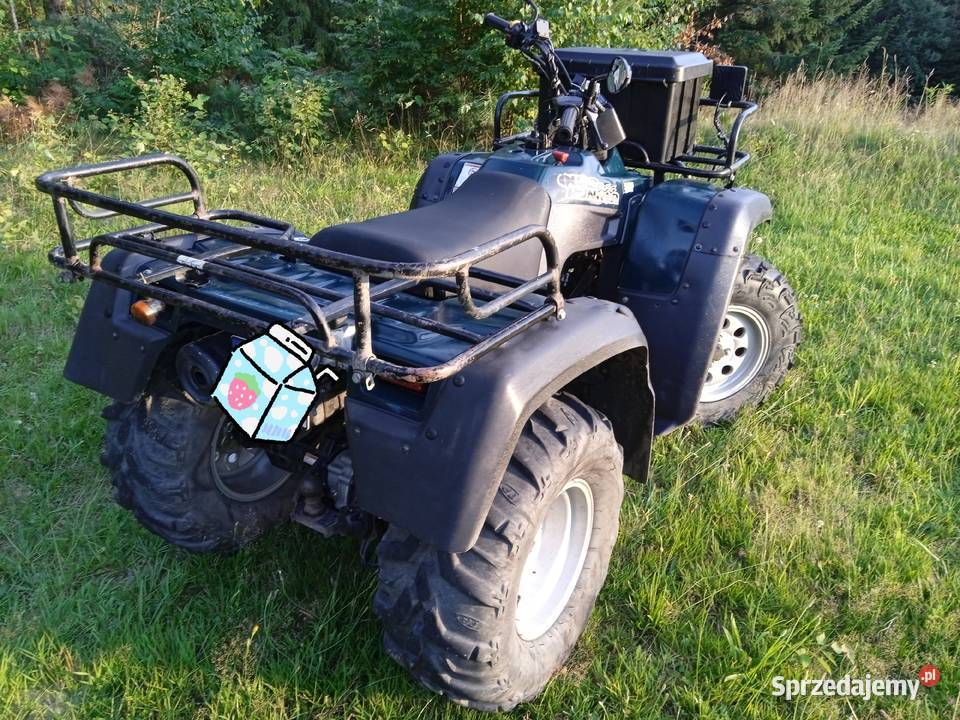 Suzuki quadrunner 500 Eiger bigbear trx 4x4 mat Łapanów