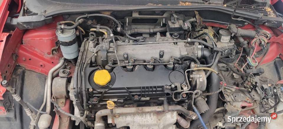 SILNIK KOMPLETNY FIAT GRANDE PUNTO 19 MJET JTD Rudziniec