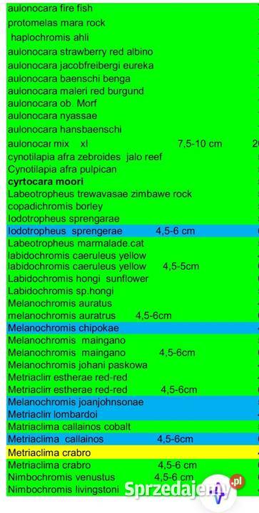 Aulonacararyby rośliny akwariowe Poznań