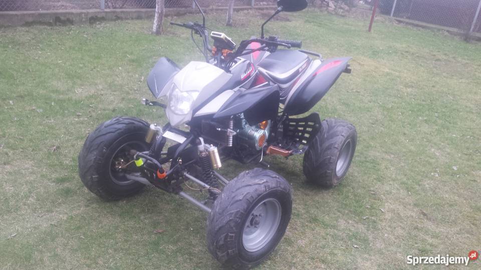 Bashan BLIZZER 200 Sierpc sprzedam