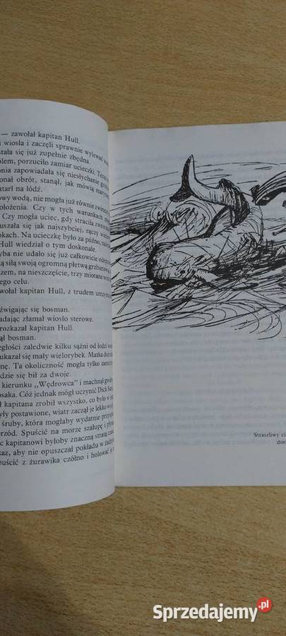 Piętnastoletni kapitan Rok wydania 1990 Lublin sprzedam