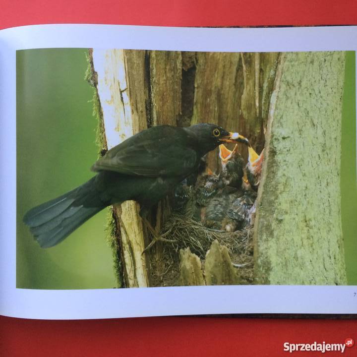 1087 Zachodniopomorskie Perły Przyrody