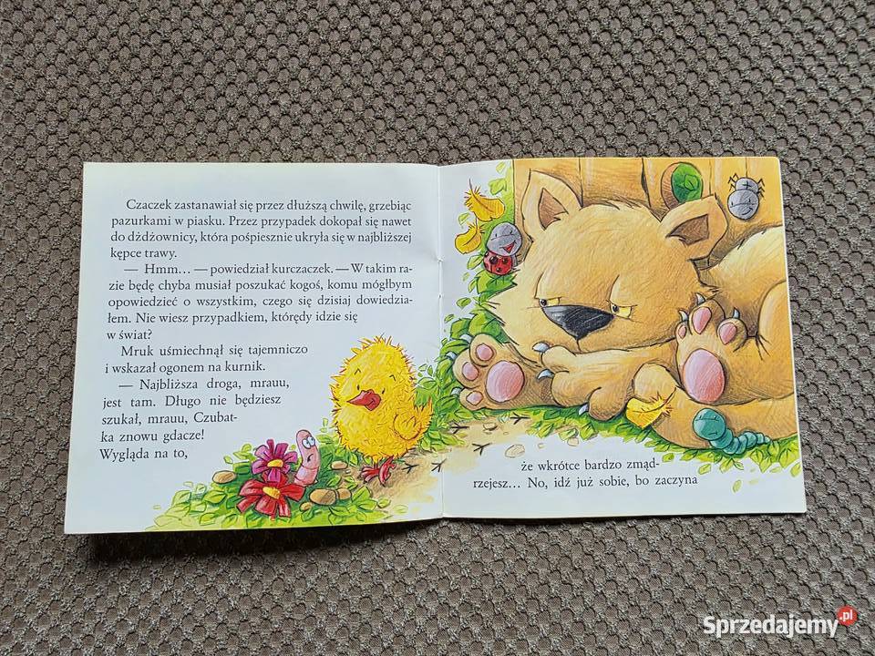 Kurczaczek Czaczek Mariusz Niemycki małopolskie Kraków