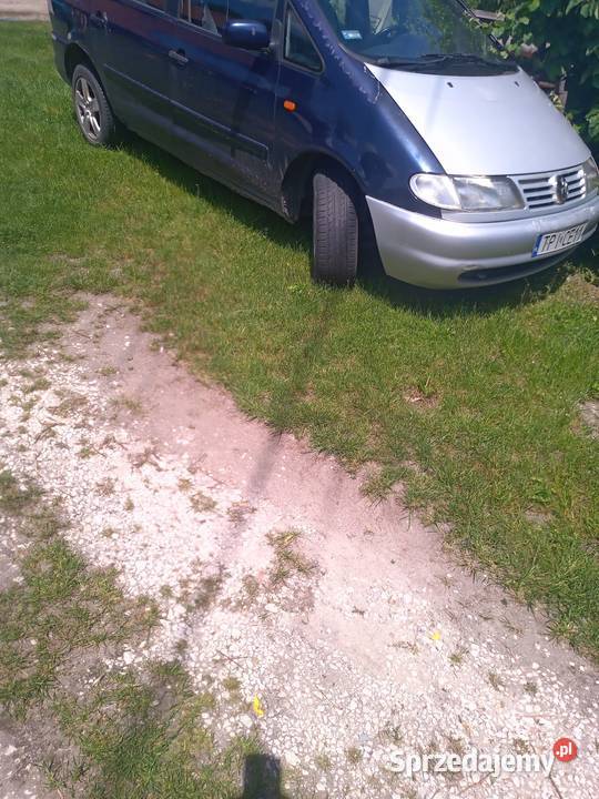 Seat alchambra Pińczów sprzedam