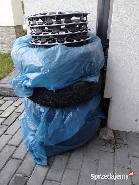 15 Hybryda Przebieg 60 Rzeszów