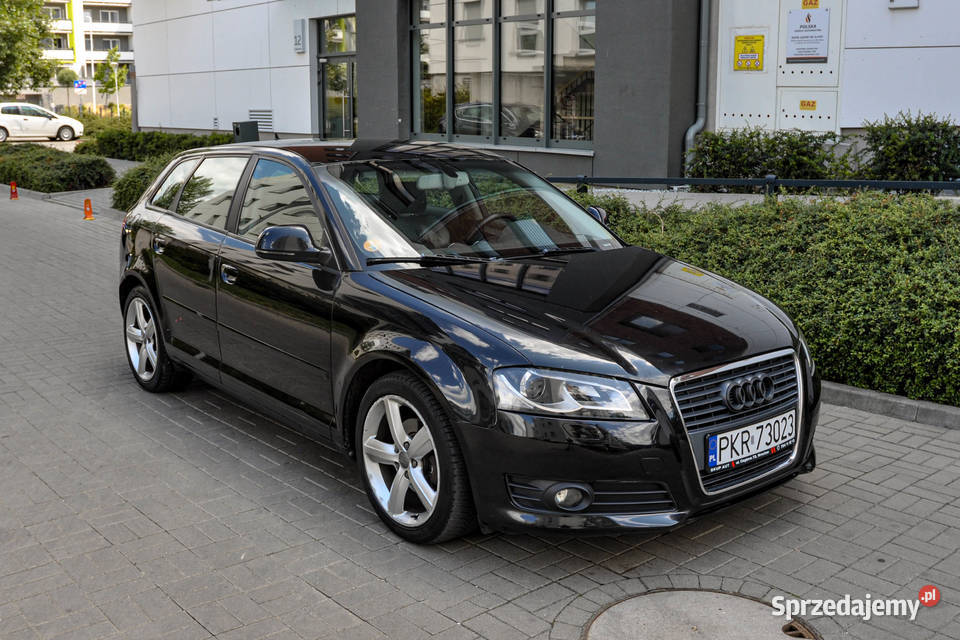 Audi A3 8P 19TDI Lift Skóry sprzedam