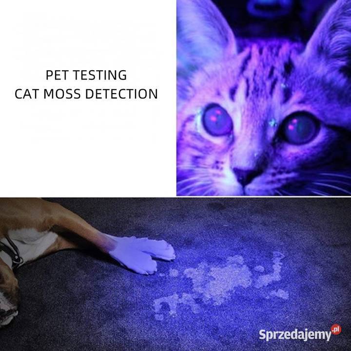 Latarka UV AloneFire SV56 30W 6 x365nm