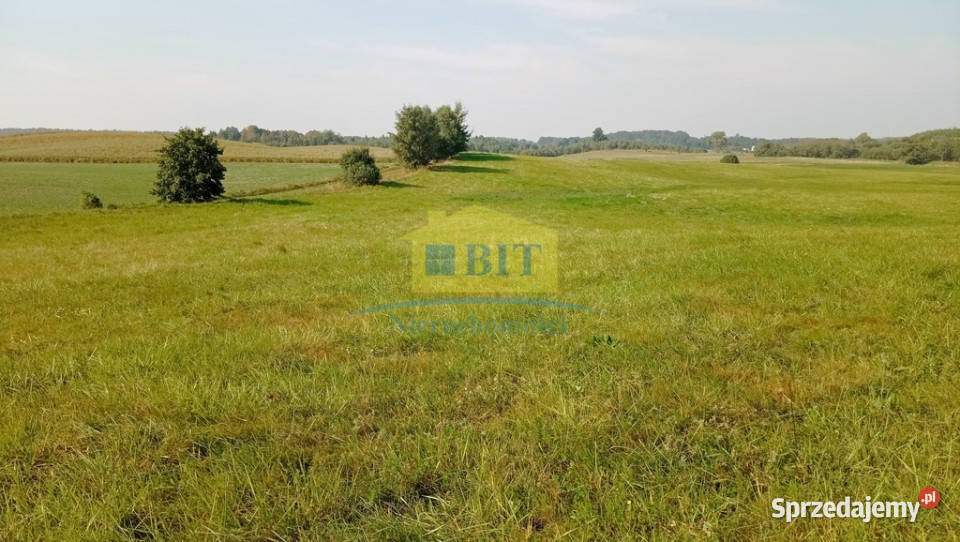 Działka budowlana 584 ha 250m jez Drawsko Warniłęg