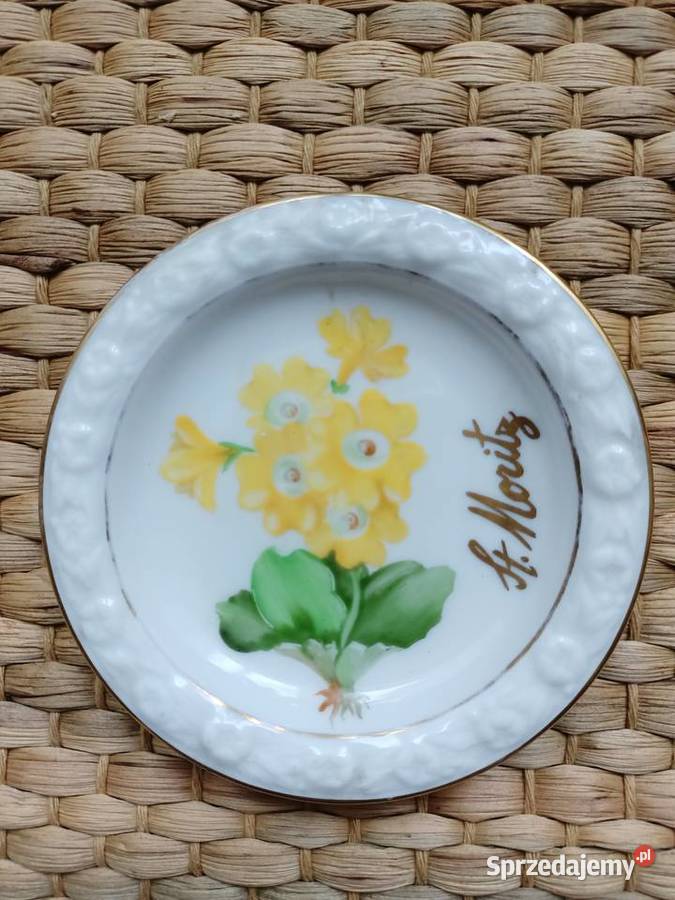 Rosenthal Biała Maria talerzyk pierwiosnek małopolskie Trzebinia