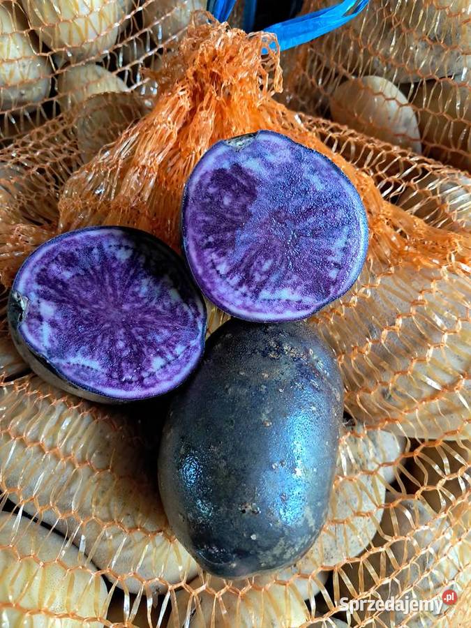 SPRZEDAM ZIEMNIAKI ODMIANA TRUFLOWE FIOLETOWE Przeworsk sprzedam