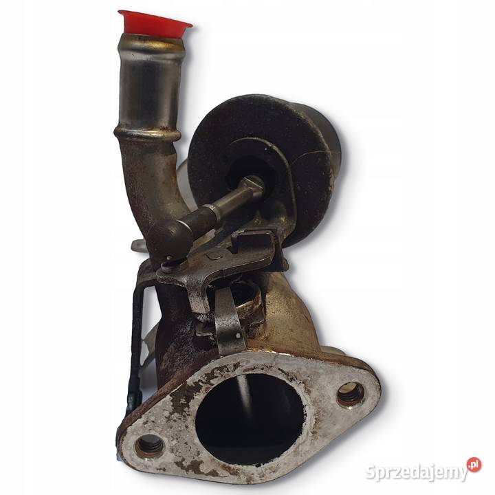 CHŁODNICA SPALIN VW Passat B6 Golf VI Audi A3 8P osobowe Chełm