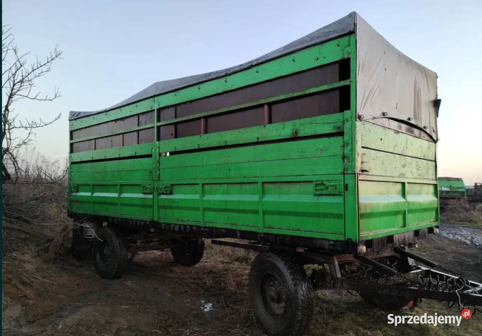 Przyczepa do przewozu zwierząt trzody chlewnej Dmosin