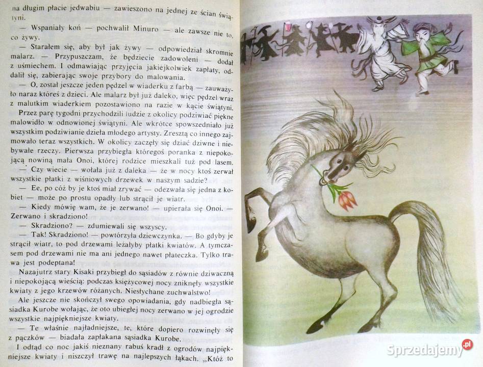 Dar rzeki Fly Kruger Maria Chełm