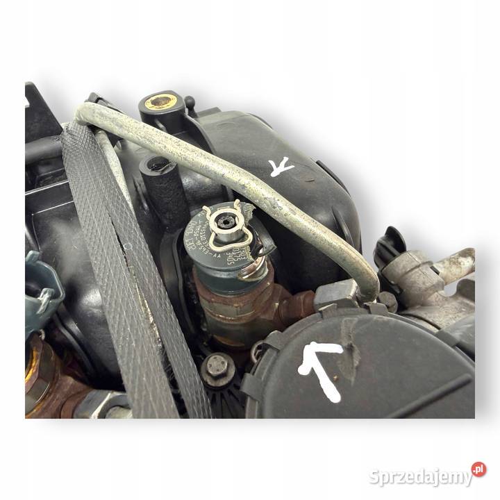 SILNIK KOMPLETNY G8DD Ford Focus II MK2 C C 16 osobowe Chełm