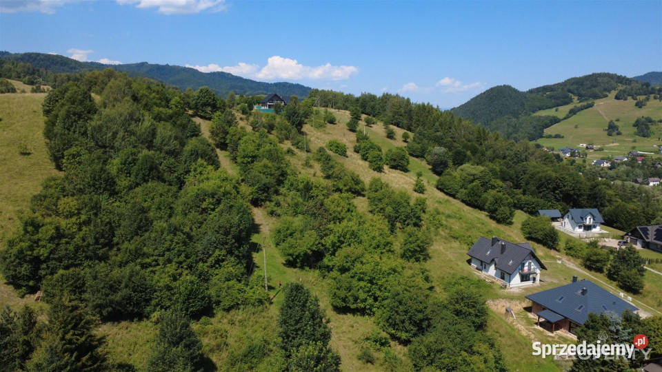 sprzedaży gruntu PiwnicznaZdrój 3250m2 sprzedam
