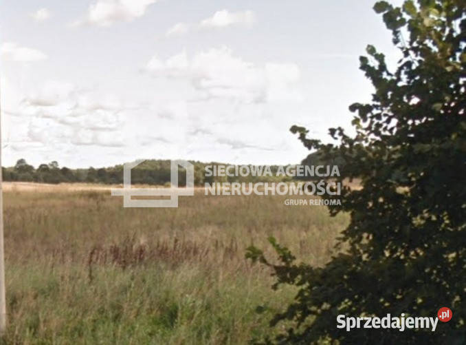 Działkę sprzedam Salinko 1019m2 prąd
