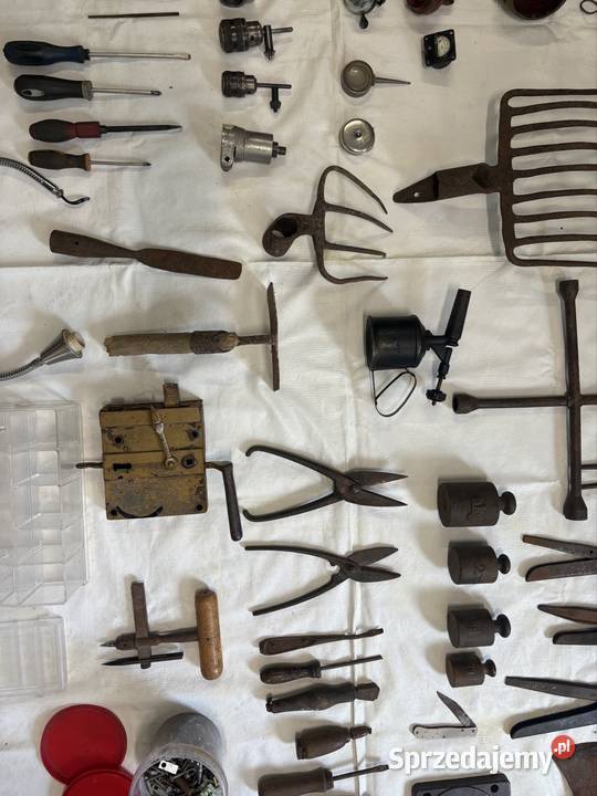 Starocie wykopki porządki zabytek