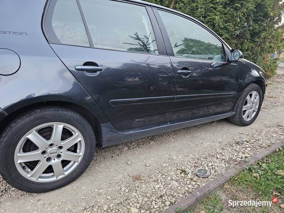 Vw golf 5 16 mpi 2007 manualna Chotynin