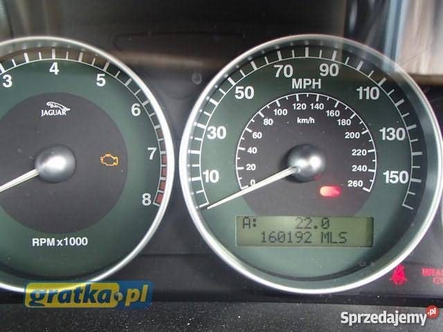 jaguar XType anglik Marchewki