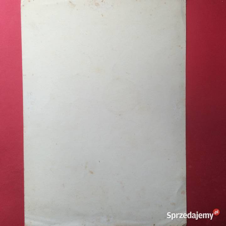 1364 Dyplom 4 Gładki