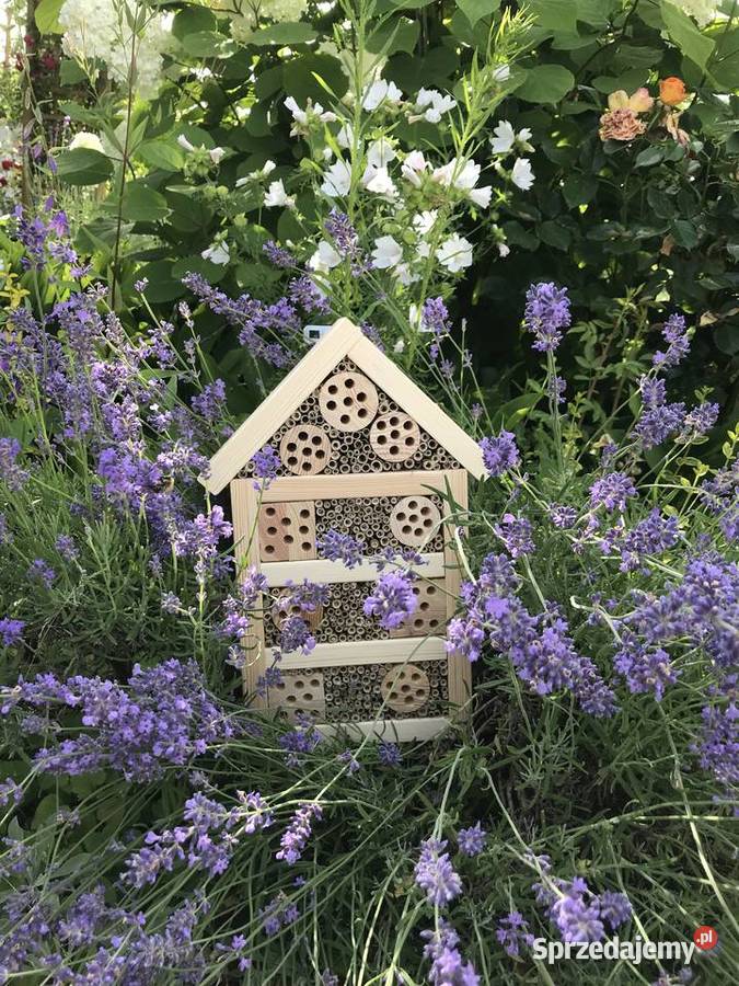 domek owadów pszczoły murarki Ogród Sławno