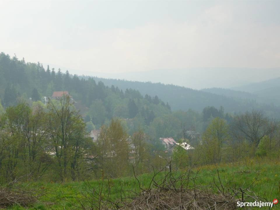 Działka z widokiem na Lądek Zdrój Lądek-Zdrój sprzedam