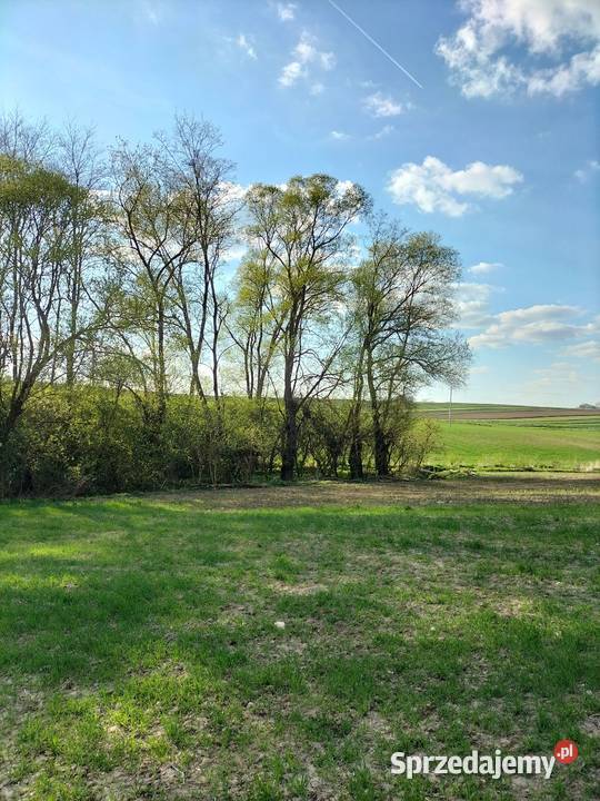 30ar Kościejów gm Racławice