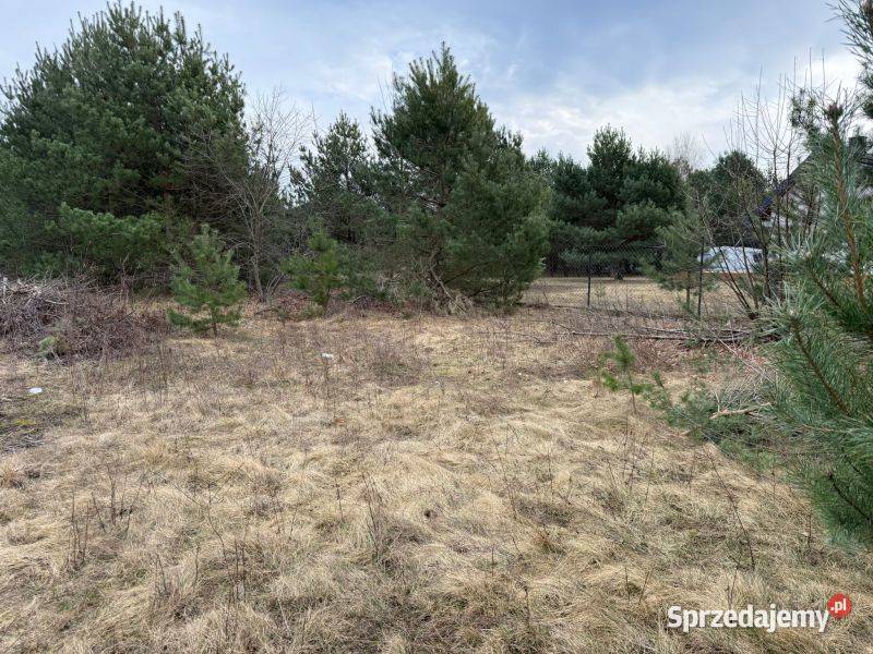 działka budowlana w otoczeniu lasów i jezior 1500m2 mazowieckie Miałkówek