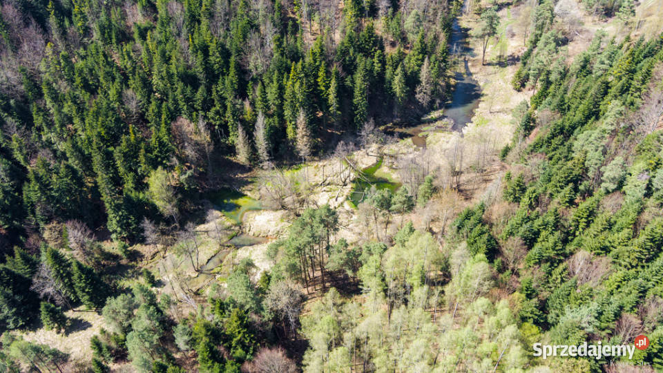 Na sprzedaż gospodarstwo rolne w Jastrzębi Jastrzębia