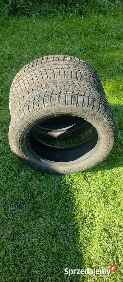 Opony Targum Winter 3 20555R16 podkarpackie