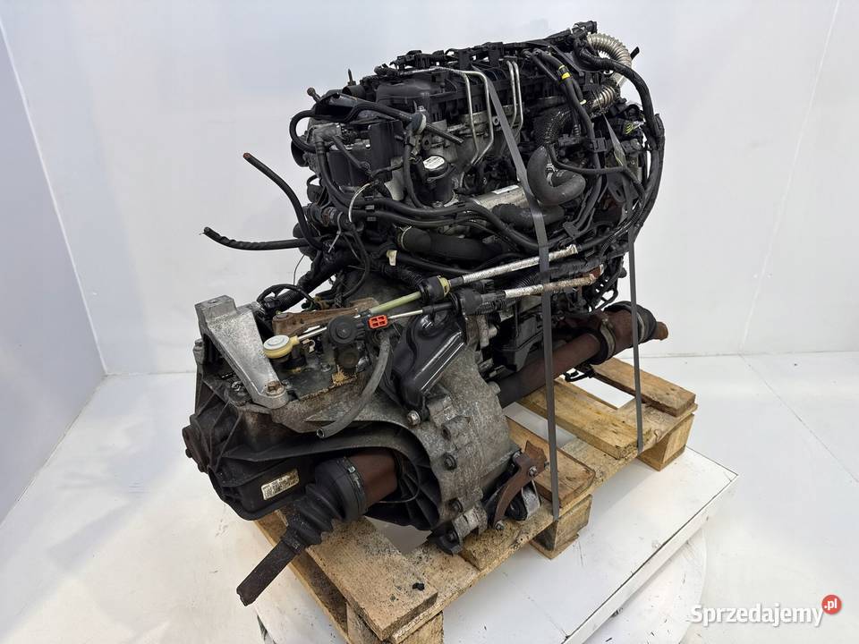 SILNIK KOMPLETNY G8DD Ford Focus II MK2 C C 16 Chełm