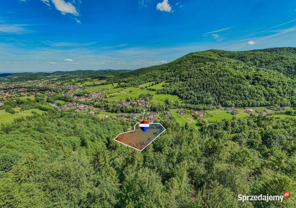 Działka leśna Rzyki