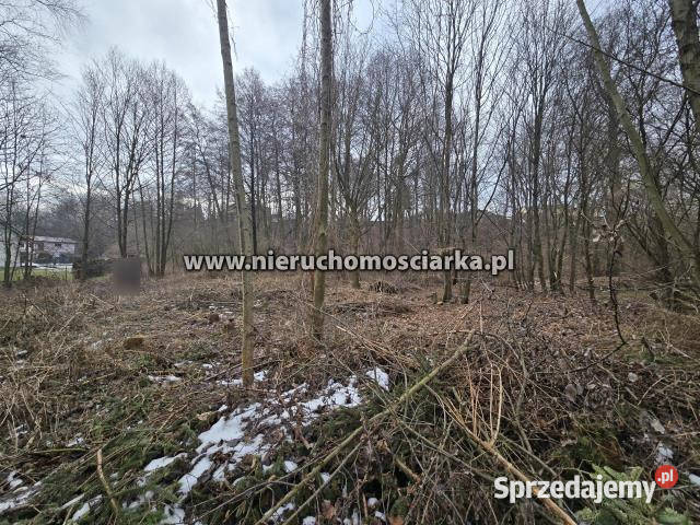 Działka Wodzisław Śląski 2361m2 2361m2 sprzedam