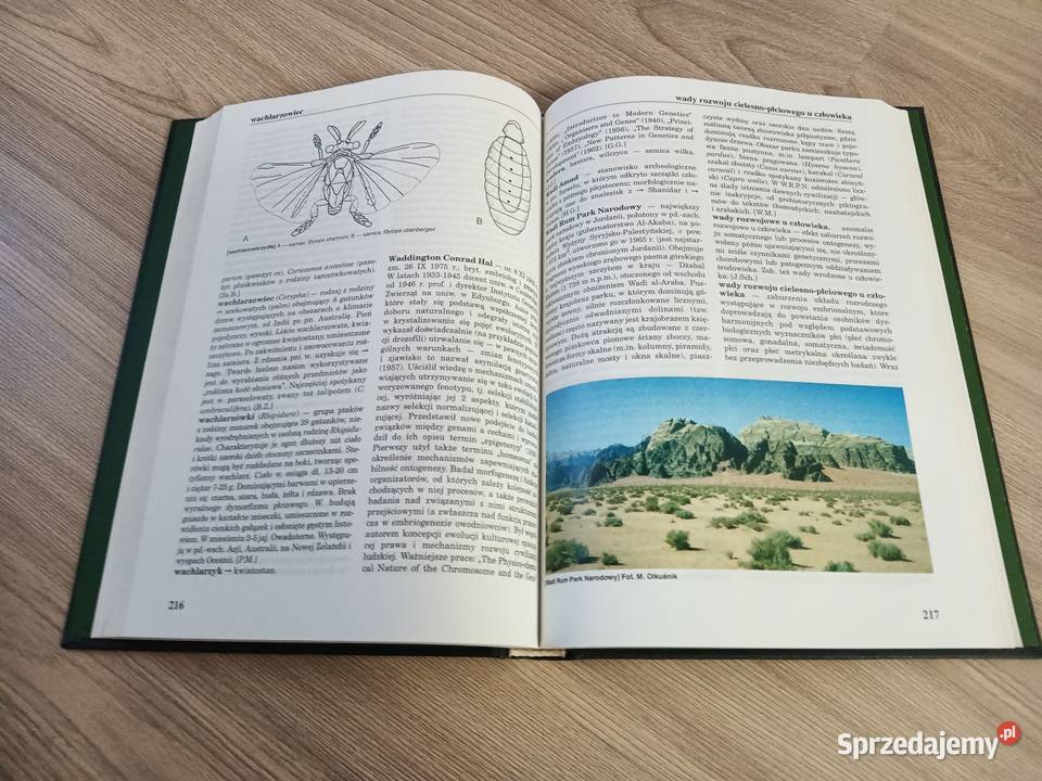 Encyklopedia Biologiczna Tom XI TkWr Kraków