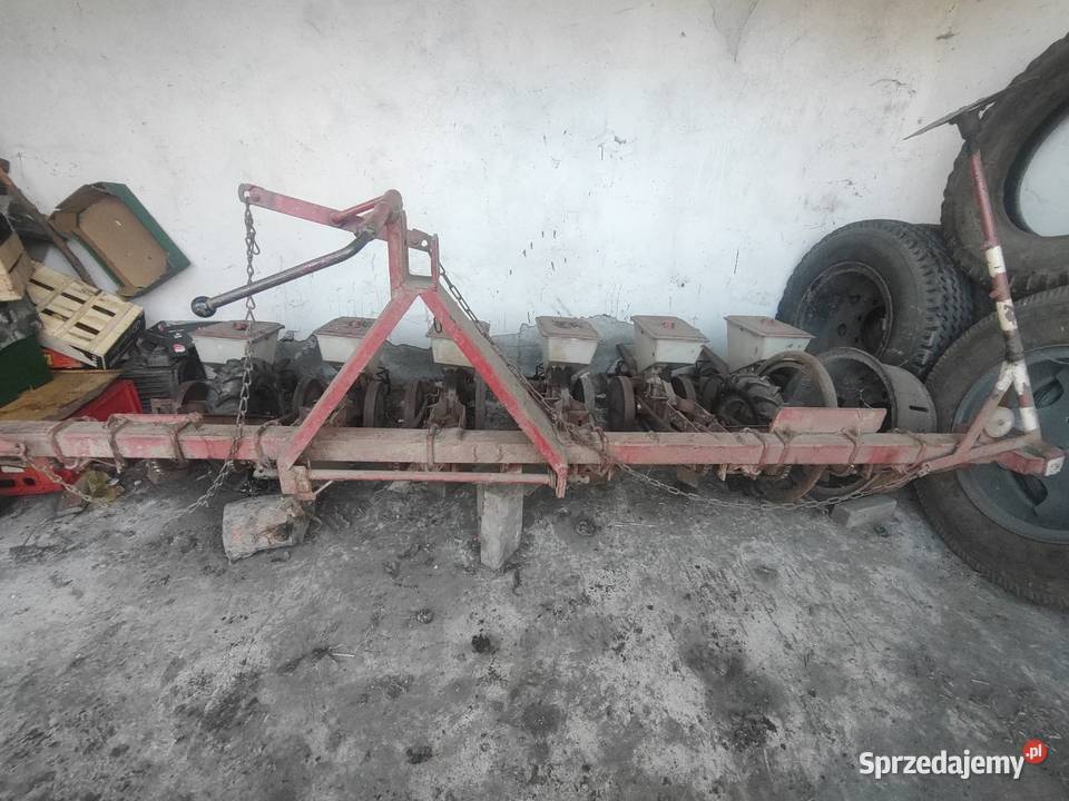 Siewnik do buraków Różyny