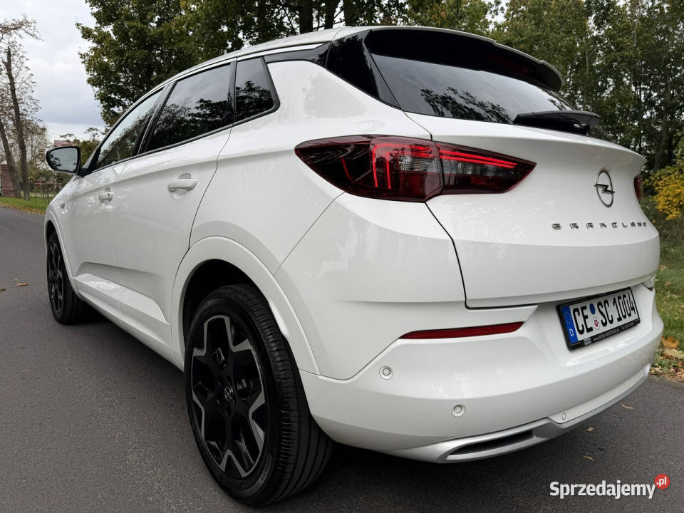 Opel Grandland 15 CDTI 130 Full Led Navi Automat 4/5 Józefkowo