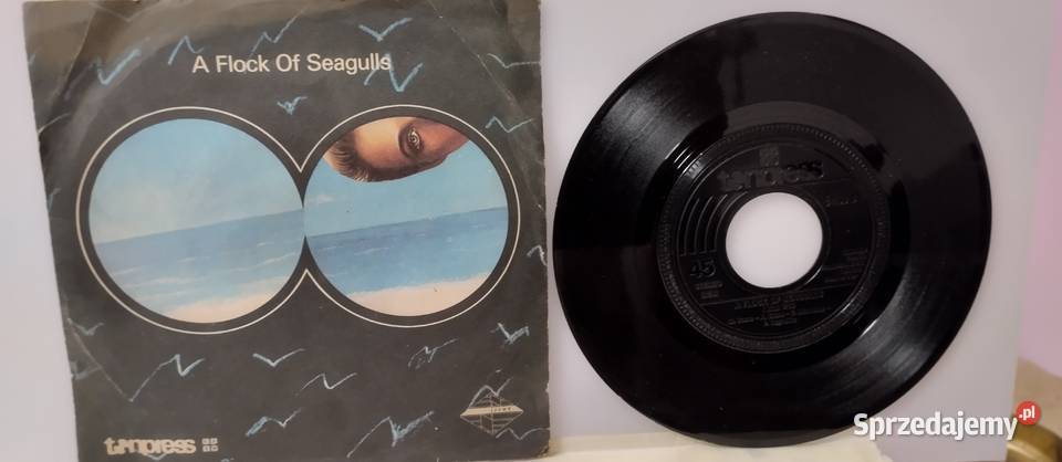 Płyty winyle Single stan 6 Płyty i kasety kujawsko-pomorskie