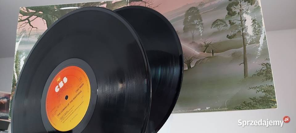 Płyty winylowe NazarethSteely DanSupertrampJeff mazowieckie Warszawa