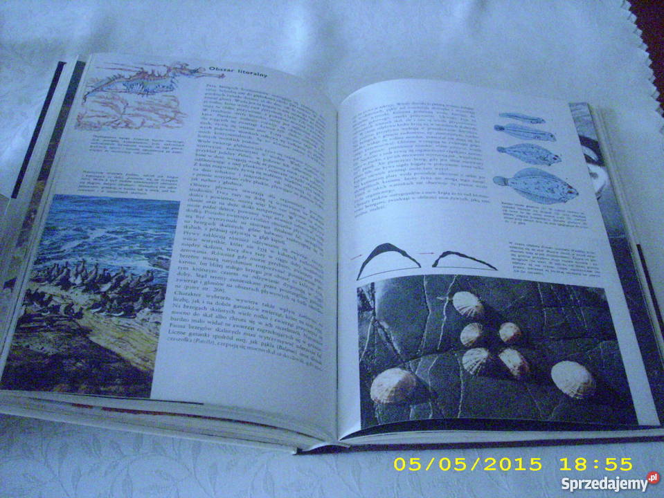 Ziemia rośliny zwierzęta Larousse Rok wydania 1985 zachodniopomorskie Goleniów
