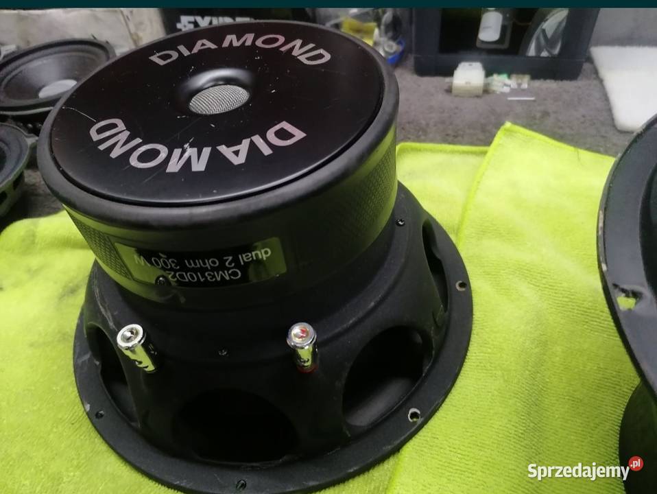 Skrzynia basowa subwoofer 2 x 10