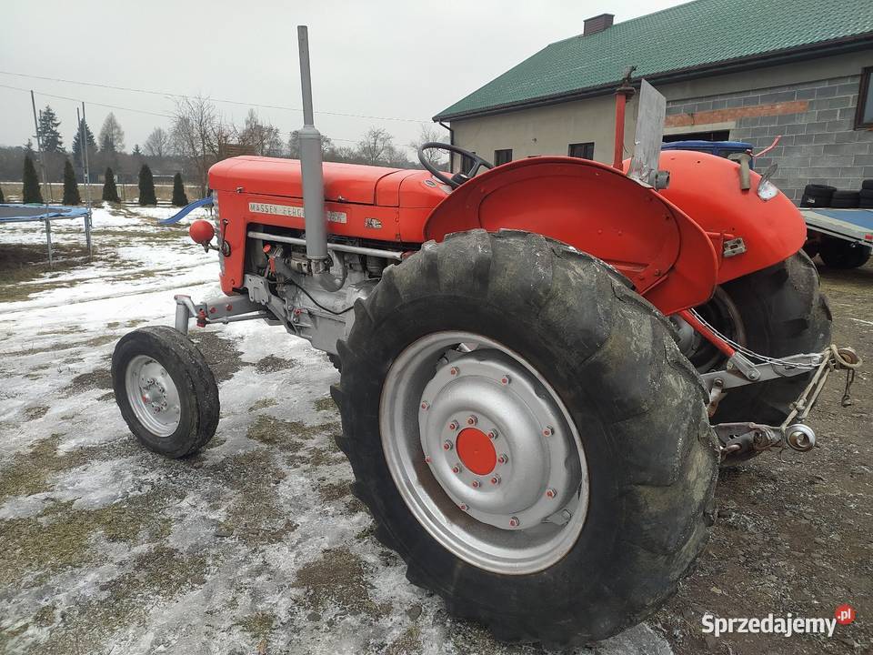 Ferguson M F 65 łódzkie Łubno
