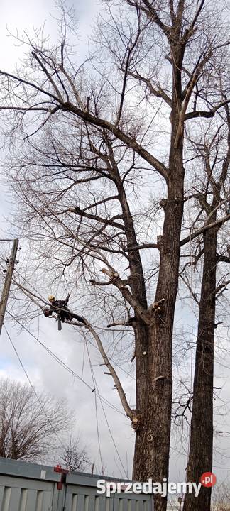 Usługi alpinistyczne