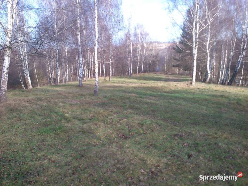 sprzedam dziaki chorowice 20000m2 sprzedam
