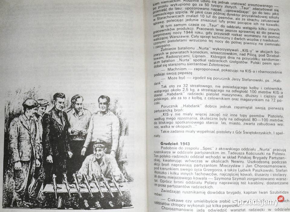 Steny biją celnie Stanisław Maria Jankowski Rok wydania 1983 Pozostałe