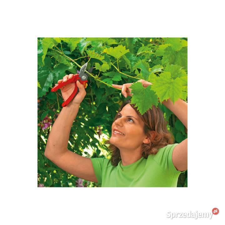 Sekator kowadełkowy RS 2500 Wolf Garten Tajęcina