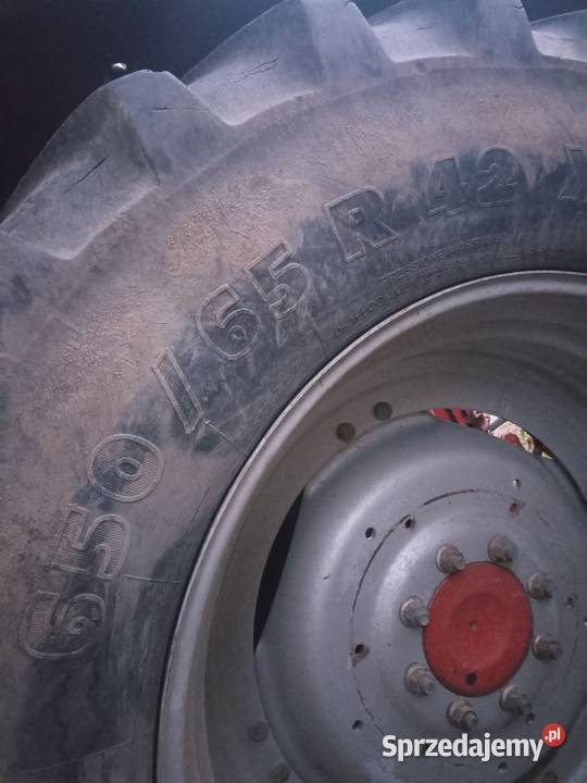 Opony Michelin 65065 r 42