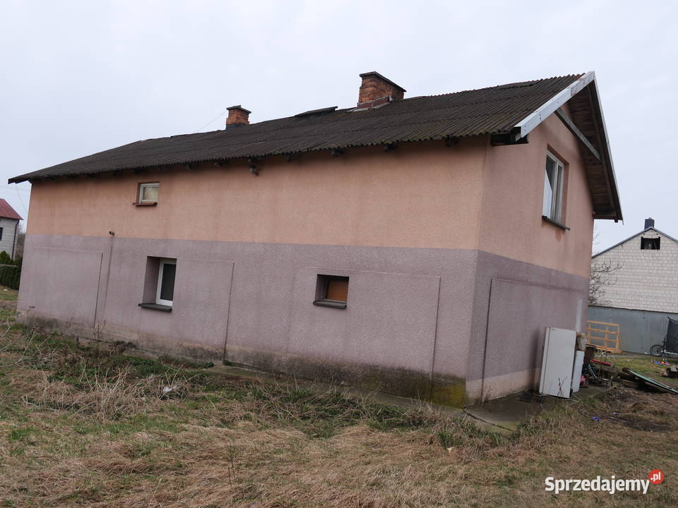 Syndyk sprzeda Obrąb sprzedam