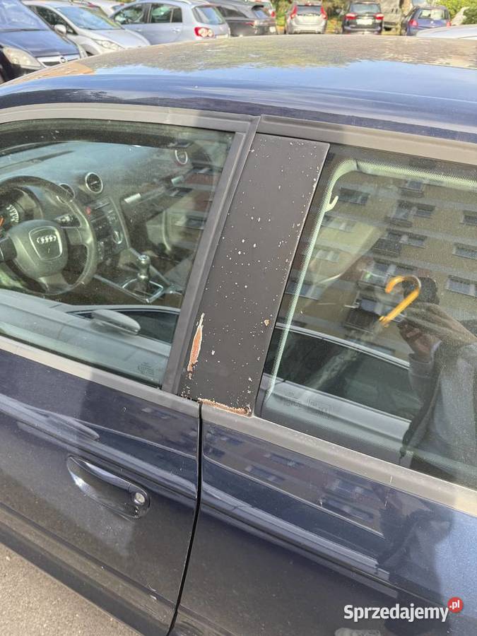 Audi A3 8P 16 benzyna 2005 1600cm3